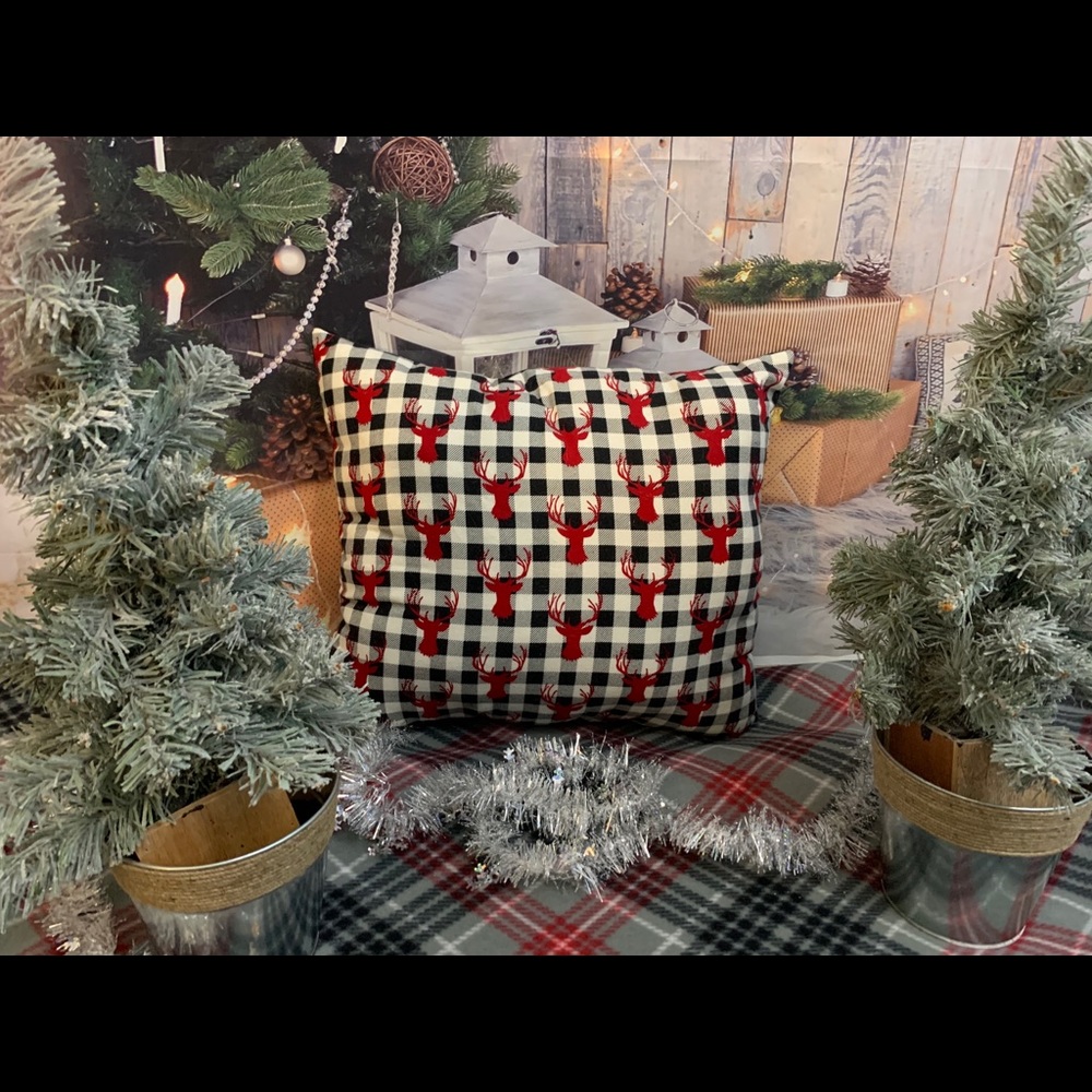2 FOR $24 Handmade pillows